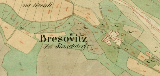 Brezovica pri Češnjici na franc. katastru, 1826